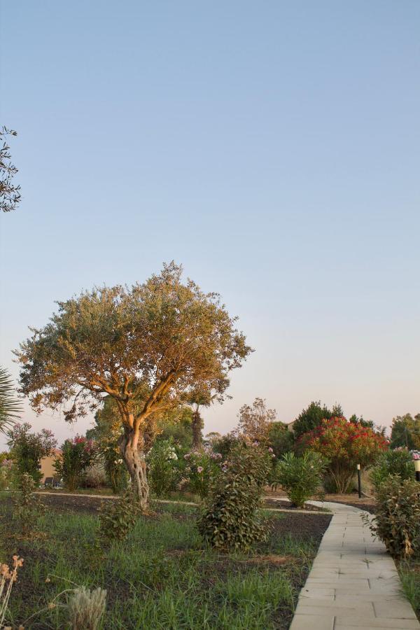 Apartment Maris & Bedrooms Alghero